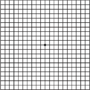 Amsler-Gitter-Test
